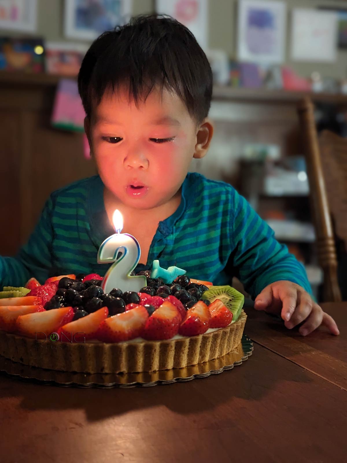 Nikko turns 2 while having pink eye